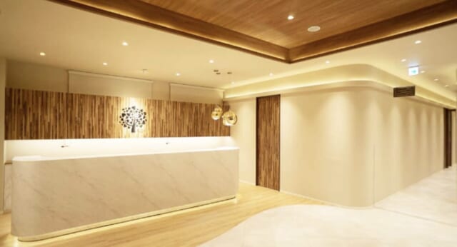 エルムクリニック 熊本院の公式HP