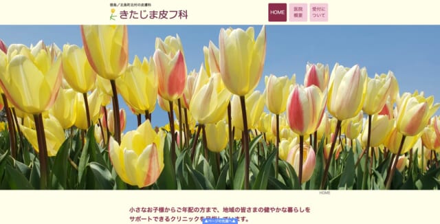 きたじま皮フ科の公式HP