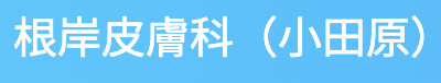 根岸皮膚科の公式HP