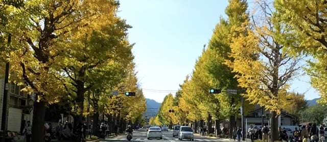 しんや内科の公式HP