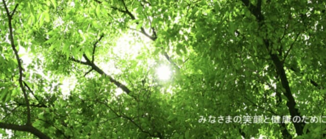 すずき整形外科クリニックの公式HP