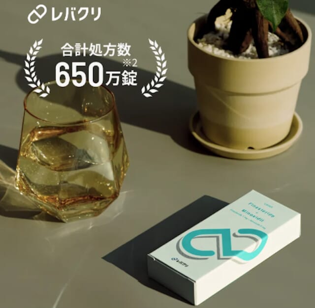 レバクリ公式サイト