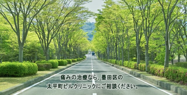 太平町ビルクリニックの公式HP