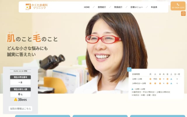 かくた皮膚科クリニック公式サイト