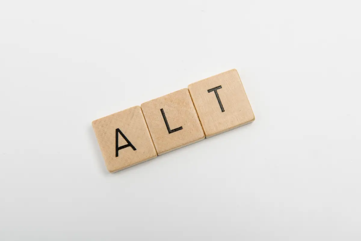 画像の「alt（オルト）タグ」の最適化