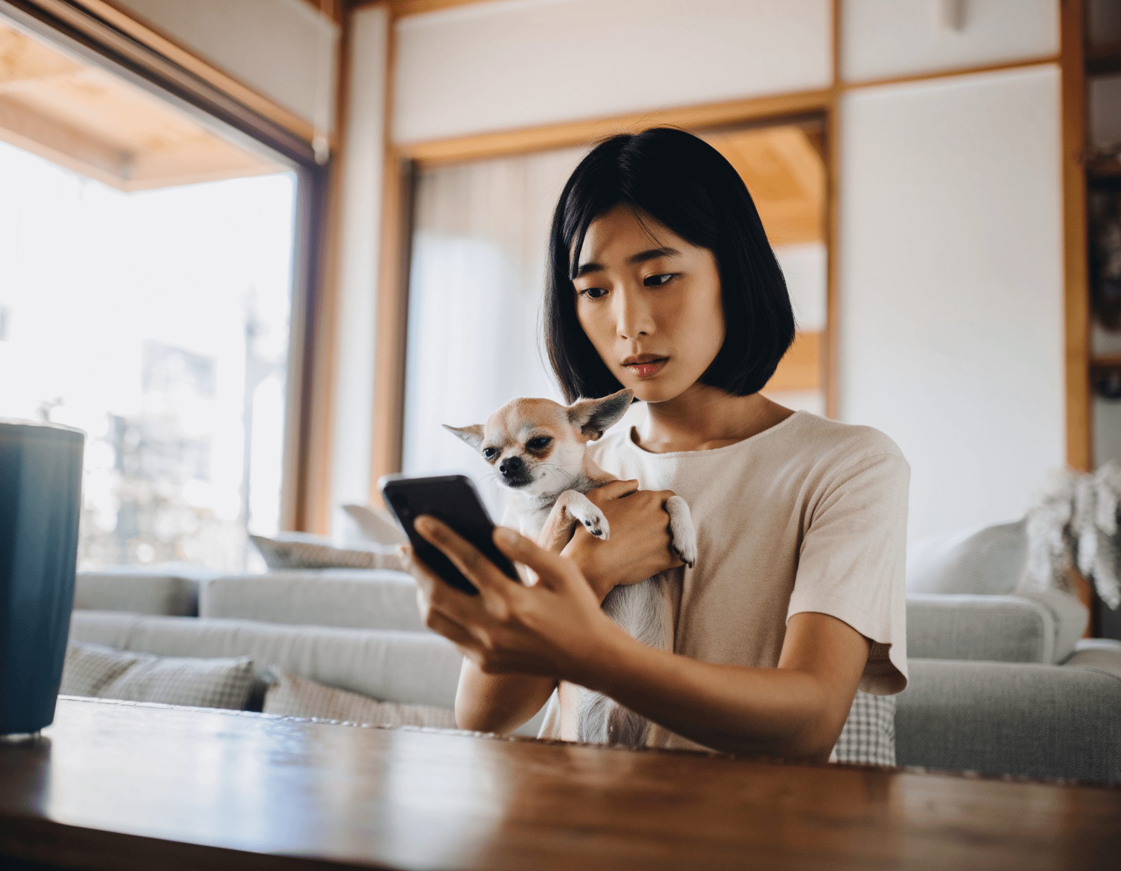 スマートフォンで近くの動物病院を真剣に検索している飼い主の様子